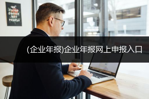 （企业年报)企业年报网上申报入口
